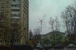 Искусственное светящееся дерево