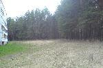 Посёлок среди леса