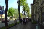 Гродно. Организованное стадо пионеров.