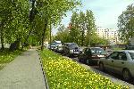 Кавайненько. Одуванчики, пионеры строем ходят, чистота...