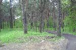 По дороге на старое еврейское кладбище