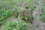 Старое еврейское кладбище.
