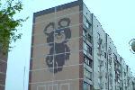 Когтистый Медвед и квадратные олимпийские кольца