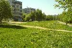 Солнечногорск. Абстрактный пейзаж