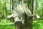 Солнечногорский парк. Неординарные скульптуры
