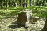 Солнечногорский парк. Неординарные скульптуры
