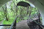 Дорога к сточной трубе. Красивая такая.