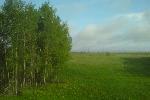 Красивая природа.