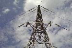 Если присмотреться, можно увидеть множество вороньих гнёзд