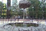 Воронеж. Говно на палочке.