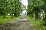 Парк в центре