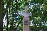 Экономичный бюст с ампутированными подмышками