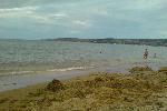 Что-то не так - куча водорослей, и вводе они цепляются за ноги. Стрёмно