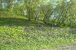 "Ночь живых мертвецов" в Кремле. На следующий день...