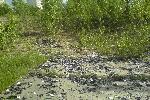 Здесь проходила война между VHS и DVD из старой рекламы