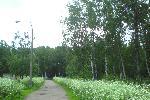 Сначала был просто парк