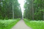 Ну очень просто парк
