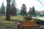Однако, все скамейки в парке возле Верховной Рады покрашены в ОРАНЖЕВЫЙ цвет