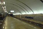 Новая станция метро, Васильковская