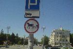 Белгород. Центр. Дорожный знак XXI века :)
