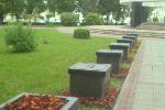 Тамбов. Центральный парк. Один город-герой пророс?