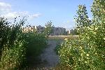 Воронеж. 28 мая. Прогулка на берег водохранилища.