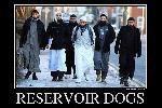 Reservoir dogs. Muslim edition