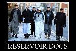 Reservoir dogs. Muslim edition