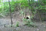 Лысая гора