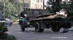 Infestation - Суровые американские тараканы :)