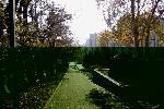 Матрицу слегка поглюкивает...